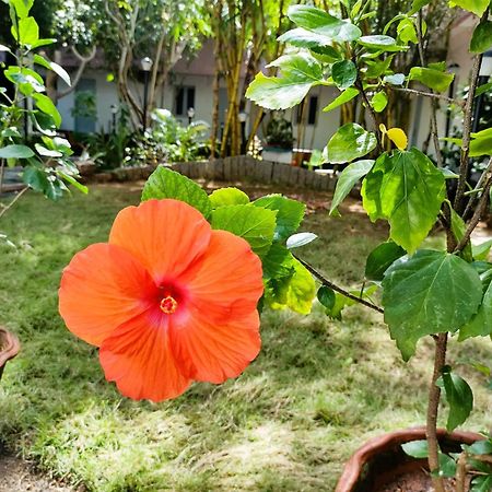 The Well Beach Side Guest House أورفيلا المظهر الخارجي الصورة