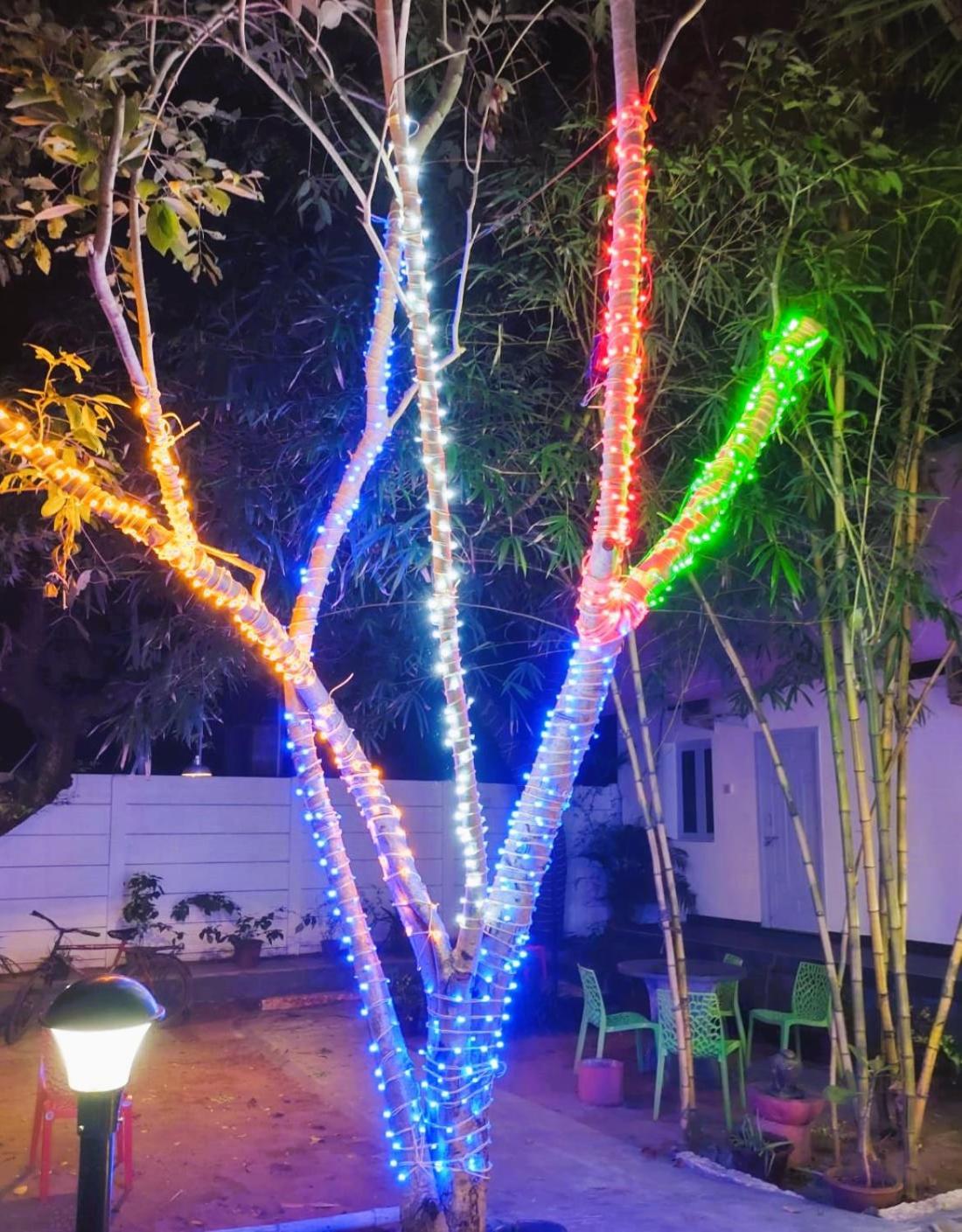 The Well Beach Side Guest House أورفيلا المظهر الخارجي الصورة