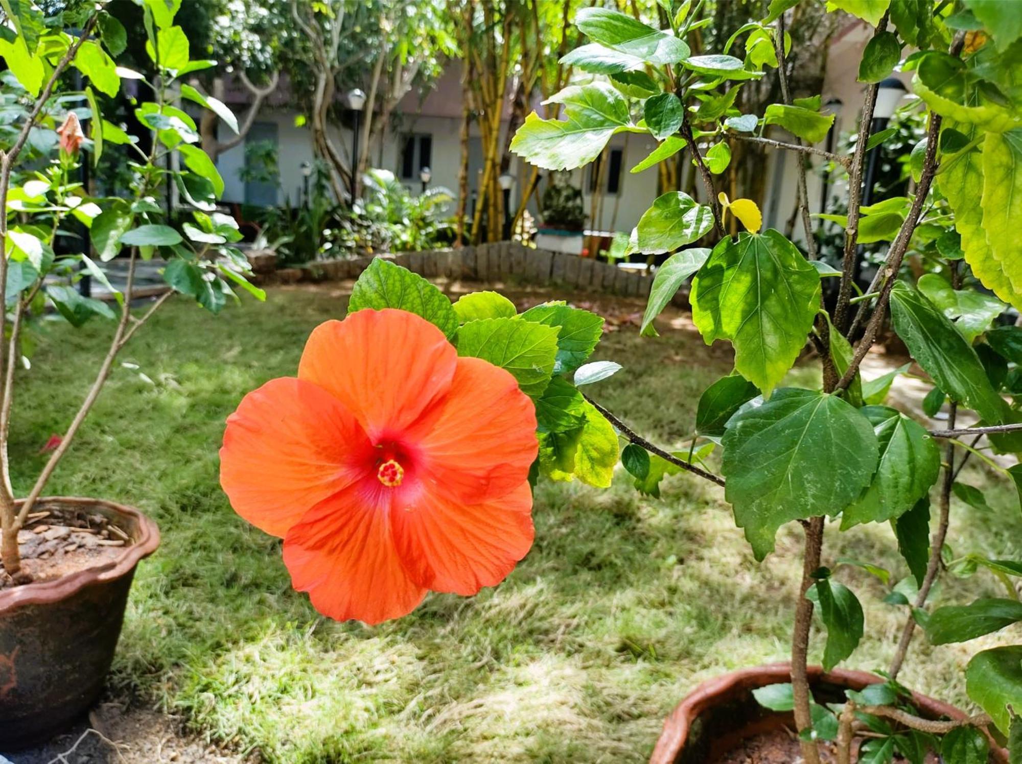 The Well Beach Side Guest House أورفيلا المظهر الخارجي الصورة